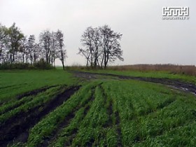 Выпившие молдоване напали на украинских пограничников