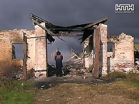 В Полтавской обл. неизвестные едва не сожгли 130 телят