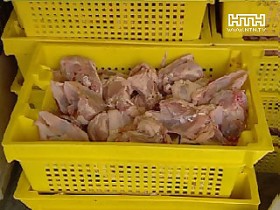 Тонна курятины досталась собачьему приюту