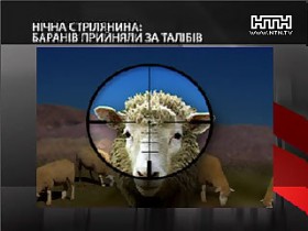 Натовская авиация уже воюет с афганскими овцами и баранами