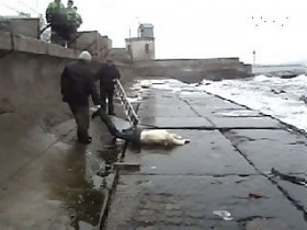 Одесские МЧС-ники выловили из моря тело неизвестного парня