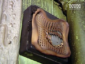 В столице огонь едва не уничтожил целый институт