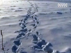 25-летний парень ответил за обидные слова страшной смертью