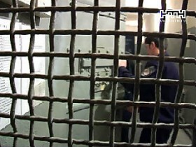 Мужчина забил насмерть свою сожительницу за беспорядок в квартире