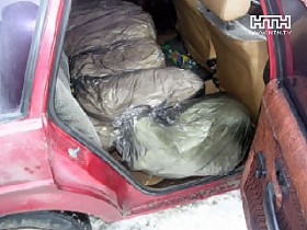 Инспекторы ГАИ нашли настоящий рай для наркоманов