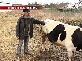 Зависть довела родственников до тюрьмы