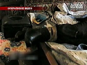 Подозреваемые в убийстве бабушки расплакались. Им жаль себя