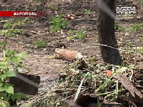 От взрыва только чудо спасло детей из Мариуполя
