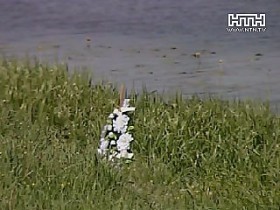 В Ровенской обл. нашли мертвого сына местных предпринимателей