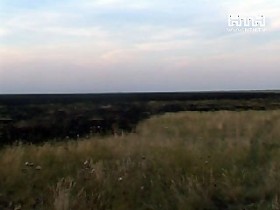 В заповеднике «Аскания-Нова» выгорело около 230 гектаров степи