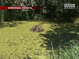 Трое детей пять часов просидели в трясине
