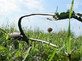 В Черновицкой обл. муж едва не убил жену, после чего покончил с собой