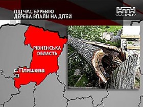 В Ровенской обл. из-за непогоды пострадали дети