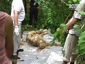 Главного бухгалтера Управления госохраны убили за тайный бизнес?