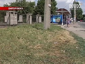 Стрельба в Запорожье: налоговик ранил милиционеров