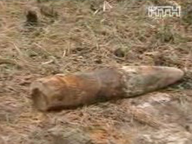На Київщині в лісі знайшли боєприпаси часів Другої світової