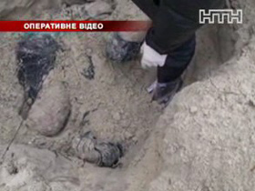 В Черкасской области преступники убили человека, но денег не нашли