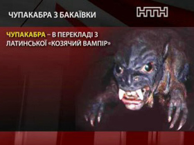 На Чернігівщині невідомий звір знищує домашню худобу