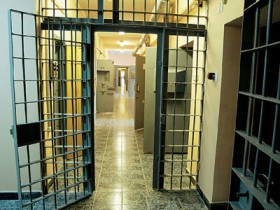 Спрятаться от свиного гриппа можно в тюрьме