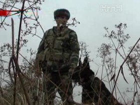 Двоє громадян Туреччини намагалися незаконно перетнути українсько-польский кордон