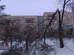 У Києві нікому прибрати завали поламаного гілля