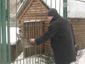Тварин луцького зоопарку оберігають від морозів