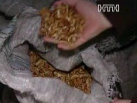 На Харьковщине задержали грабителей, падких на орехи