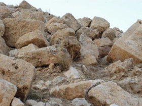 В Киеве вандалы уничтожили памятник архитектуры - мукомольный цех