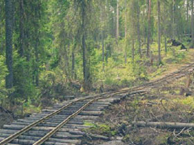 Трое жителей Стрыйского района воровали железнодорожные пути