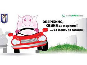 Зеленстрой начинает борьбу со "свиньями за рулем"