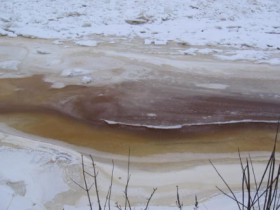 На Киевщине сотрудник МЧС спас 28-летнего рыбака из воды