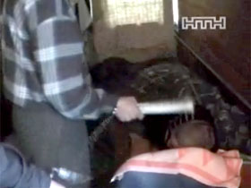 В Чернигове бывший заключенный убил своего приятеля "за понятия"