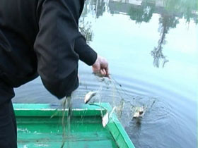 Житомирські інспектори борються з незаконним виловом риби