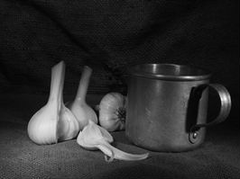 В Украине солдаты регулярно страдают от кишечных заболеваний