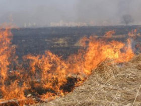 На Донеччині аграрії всіляко оберігають себе від пожеж на полях