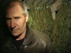 Крымский токарь выращивал марихуану и реставрировал оружие
