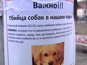 В столице в Павловском парке отравились четыре домашних собаки