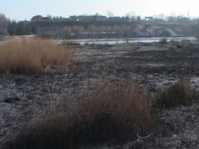 На Одесщине по вине местных жителей вблизи Днестра загораются плавни