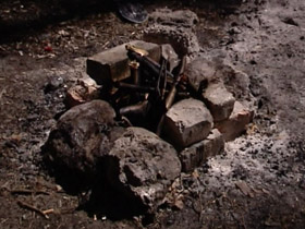 У столичних лісах заборонили розпалювати багаття