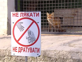 Против экс-директора Киевского зоопарка возбуждено уголовное дело