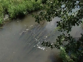 На Донетчине мать восьмерых детей зарезала надоевшего мужа