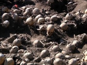 На Волыни обнаружили братскую могилу площадью около 100 кв. м