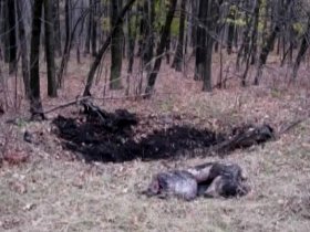 На Донетчине пятеро мужчин совершили убийство из-за денег за проданную машину