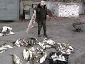 На Черниговщине два браконьера уничтожили почти 3 тонны ценной рыбы
