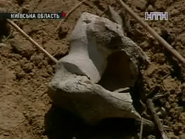 На Киевщине нашли ров с человеческими останками