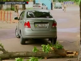 Ураган наломал дров в Днепропетровске