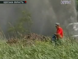 В Одесской области прорвал канализационный коллектор