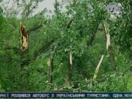 По Луганску пронесся ураган, есть четверо пострадавших
