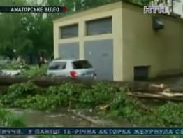 В столице ураган калечил людей, разбивал машины, выкорчевал деревья