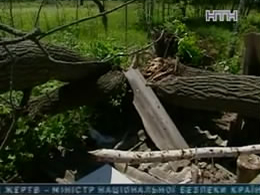 На Київщині під час грози дерево впало та придавило стареньку